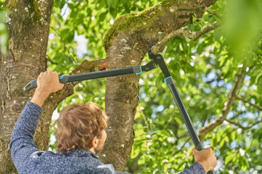 Gardena Aambeeldtakkenschaar EnergyCut Pro L met aambeeldsnede New