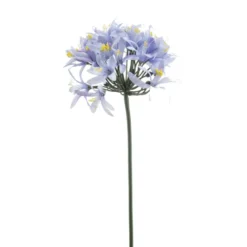 Agapanthus spray blauw 80cm