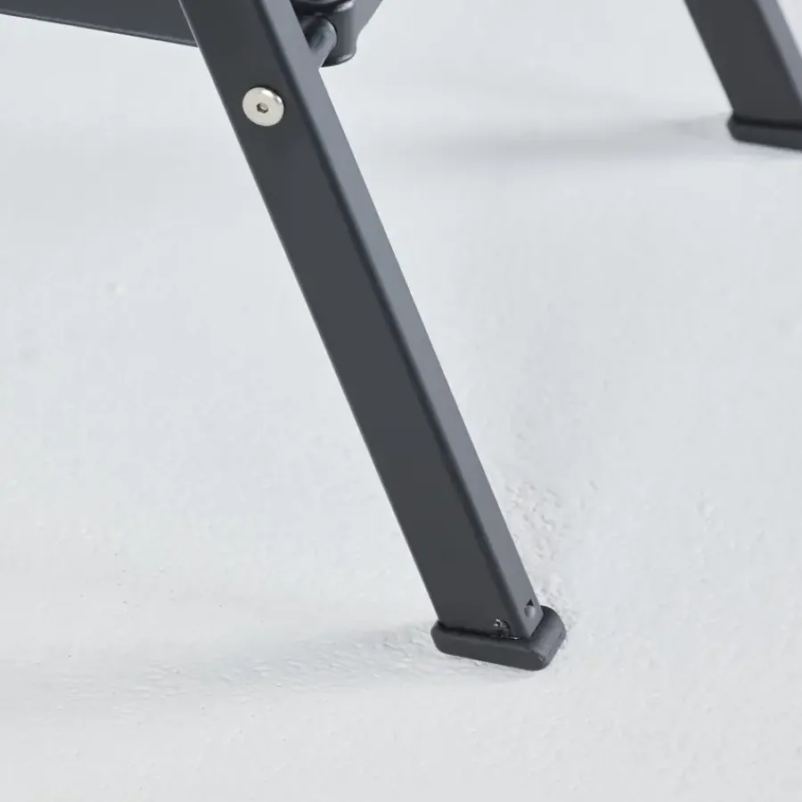 Altrex huishoudtrap Giant 2 treden zwart Outlet