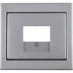 Berker K5 Afdekplaat USB RVS
