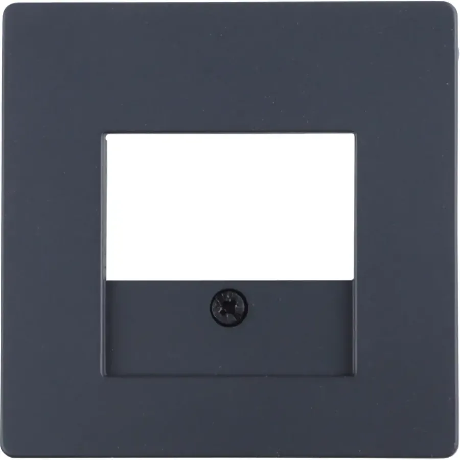 Berker Q1 Afdekplaat USB Antraciet New