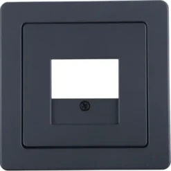Berker Q1 Afdekplaat USB Antraciet New