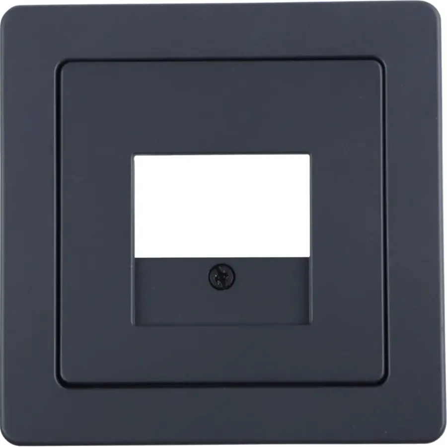 Berker Q1 Afdekplaat USB Antraciet New