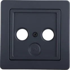 Berker Q1 Centraalplaat Radio/TV Antraciet