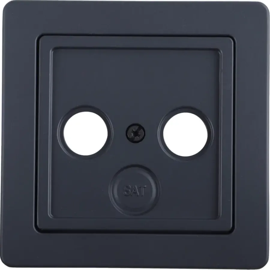 Berker Q1 Centraalplaat Radio/TV Antraciet