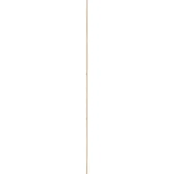 Geen Betonplex plaat 250 x 125 cm 18 mm