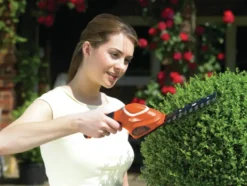 BLACK+DECKER 3,6V struikschaar GSL300-QW Online