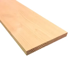 TPA Bouwhout Douglas pure 21x195mm 200cm