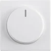 Busch-Jaeger Future Linear Centraalplaat Dimmer Mat Wit Sale