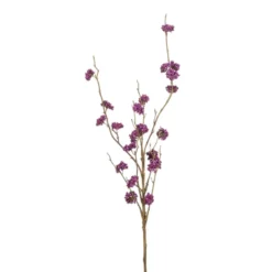 Callicarpa spray paars 97cm