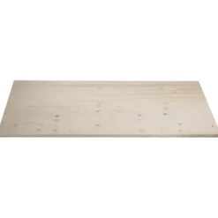 CanDo massief timmerpaneel vuren 100x60 cm 18 mm Best