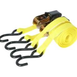 Carpoint Spanbandenset luxe met ratel 2 x 5 meter Best