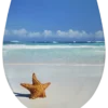 Cedo Starfish wc bril softclose duroplast