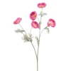 Cosmos spray roze 70cm
