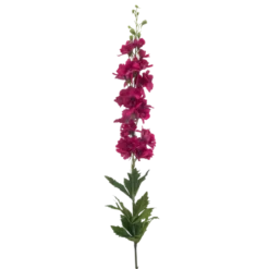 Delphinium spray fuchsia