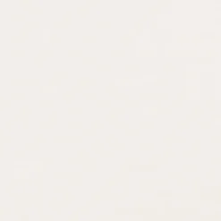 Dumaplast Dumaclip wand- en plafondpaneel PVC essen wit 2.4m2, afm. 120 x 25 cm Hot