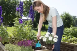 Gardena bloemenschepje Online