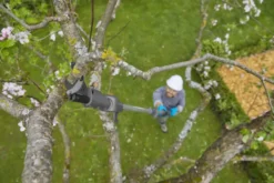 Gardena 18V telescopische takkenschaar 3,6m (P4A) Incl. 2.0Ah accu + lader Sale