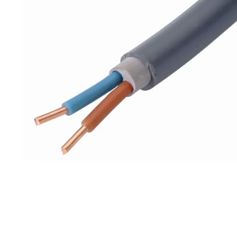 Handson Buitenkabel XMVK 2x2,5 mm² 10 Meter Clearance
