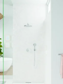 Hansgrohe douchekop Raindance handdouche 3 standen ø 12 cm chroom