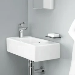 Hansgrohe Wastafelmengkraan 100 met Pop-up Waste