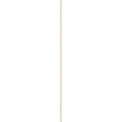 Geen Hollat grenen 22x22 mm lengte 270 cm Best