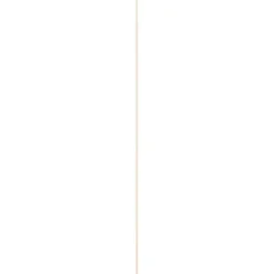 Geen Hollat grenen 22x22 mm lengte 270 cm Best
