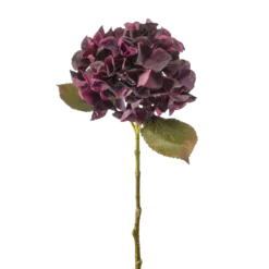 Hydrangea stem burgundy 47cm