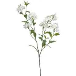 Jasmin spray wit 82cm