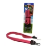 Jumbo fiets bagage snelbinder met 3 armen 70 cm Clearance