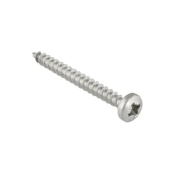 KARWEI unischroef cilinderkop rvs 4x30 mm (10 stuks)