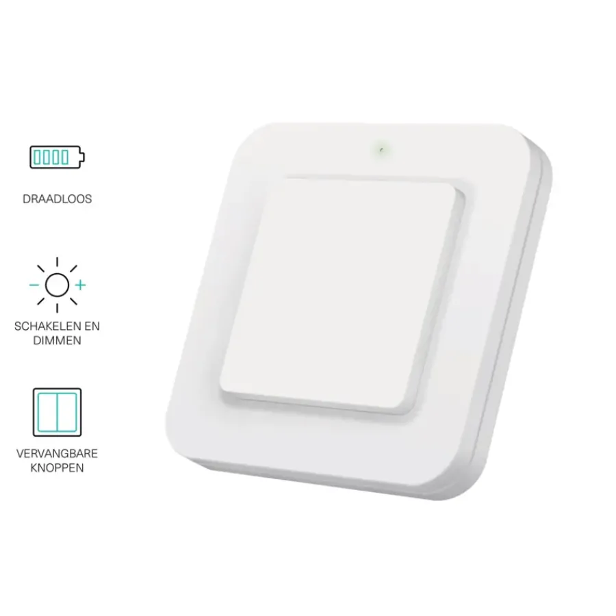 KlikAanKlikUit Draadloze enkelvoudige/dubbele wandschakelaar AWST-9000 Outlet