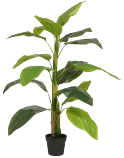 Kunstplant Strelitzia in pot groen - h150xd40cm