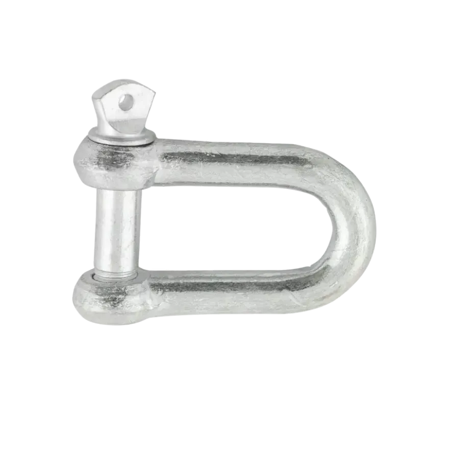 Ledent D-sluiting verzinkt 6 mm (2 stuks)