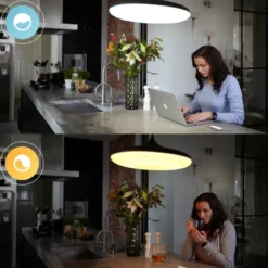 Philips Hue dimmer switch draadloze schakelaar Best
