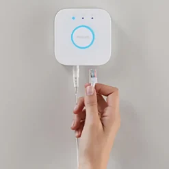 Philips Hue losse bridge Online
