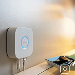Philips Hue losse bridge Online