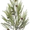 Pine branch met cones