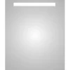 Plieger basic spiegel LED-verlichting - 1 zijde - 40 x 60 cm