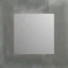 Plieger dual spiegel geborsteld aluminium 40 x 40 cm
