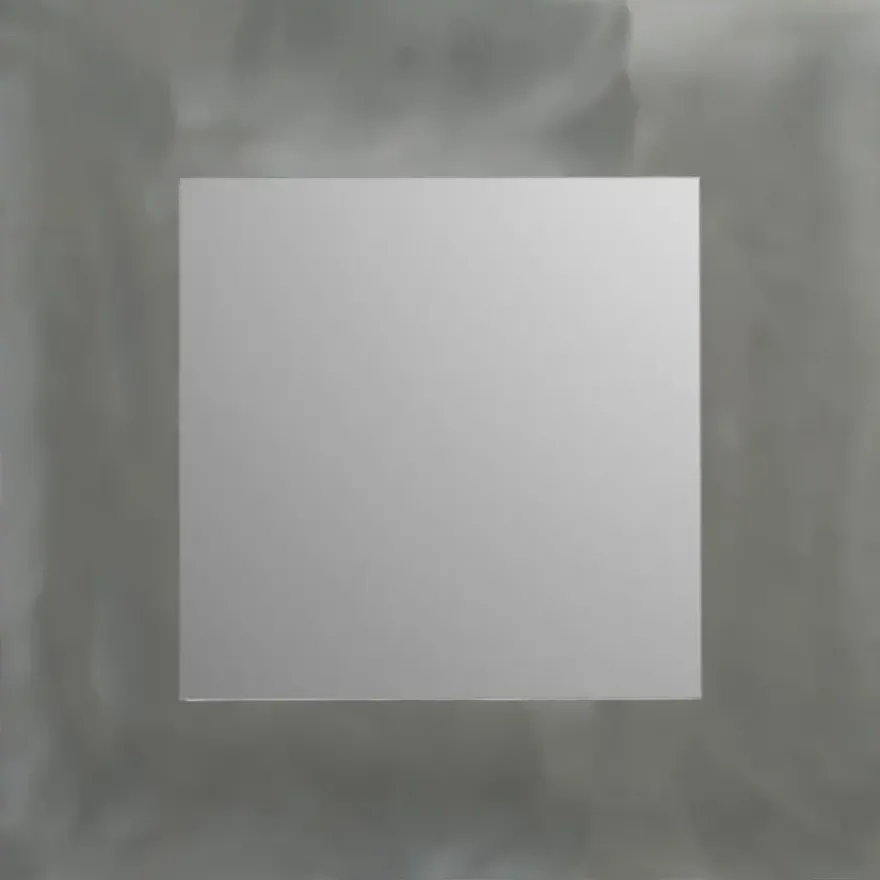 Plieger dual spiegel geborsteld aluminium 40 x 40 cm