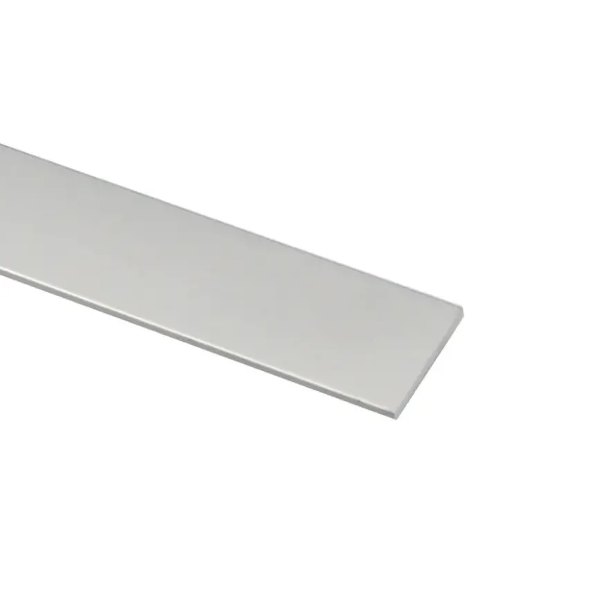 Profiel plat aluminium zilver 30x2x2000mm
