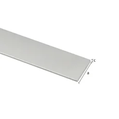 Profiel plat aluminium zilver 30x2x2000mm