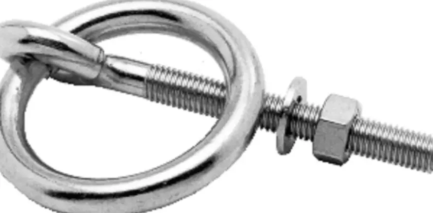 Ring Met Boutm6X50Mm Rvs304