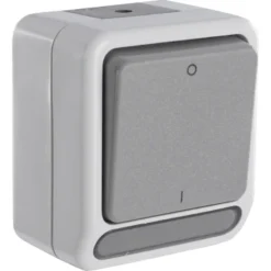 Schneider Electric Aquastar spatwaterdicht schakelaar 2-polig Sale