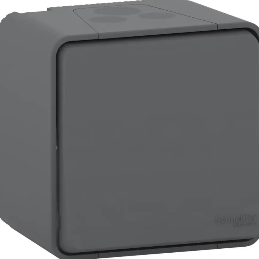Schneider Electric Mureva Styl wisselschakelaar 2-polig IP55 antraciet
