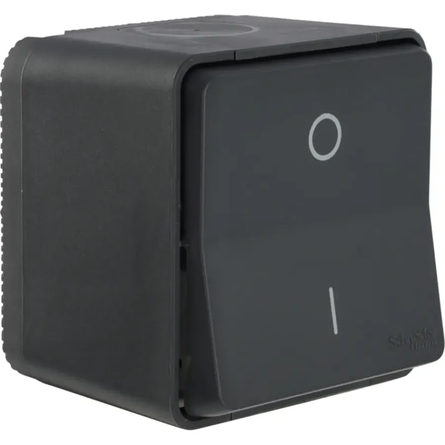 Schneider Electric Mureva Styl wisselschakelaar 2-polig IP55 antraciet