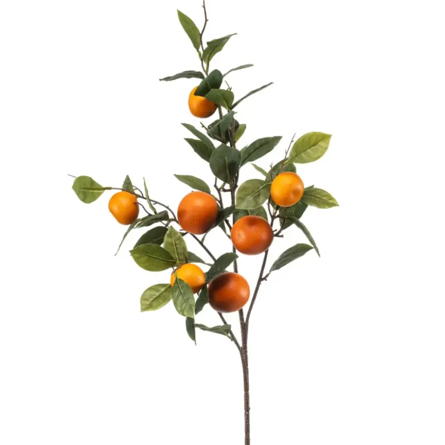 Sinaasappel fruit spray 80cm