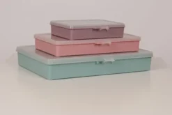 Raaco Sorteerdoos met 9 vakken roze Hot