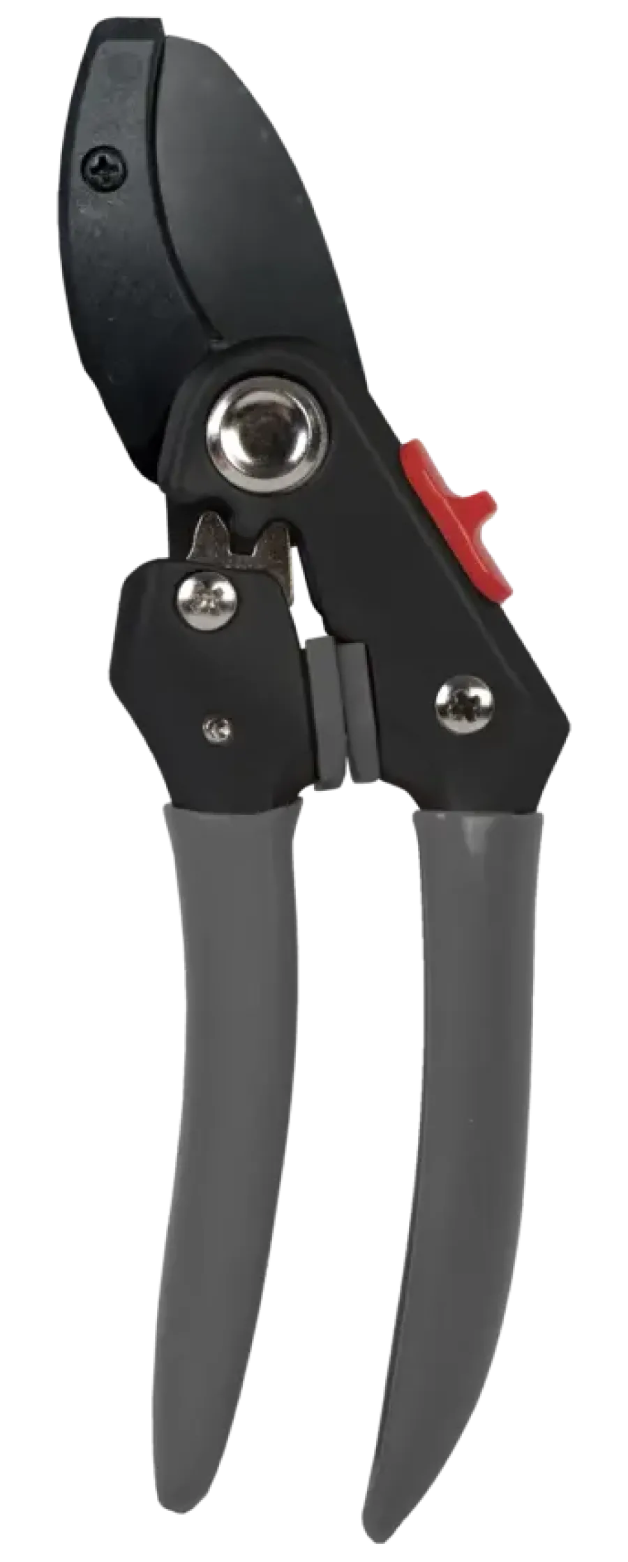 Talen Tools snoeischaar aambeeld F121 Hot
